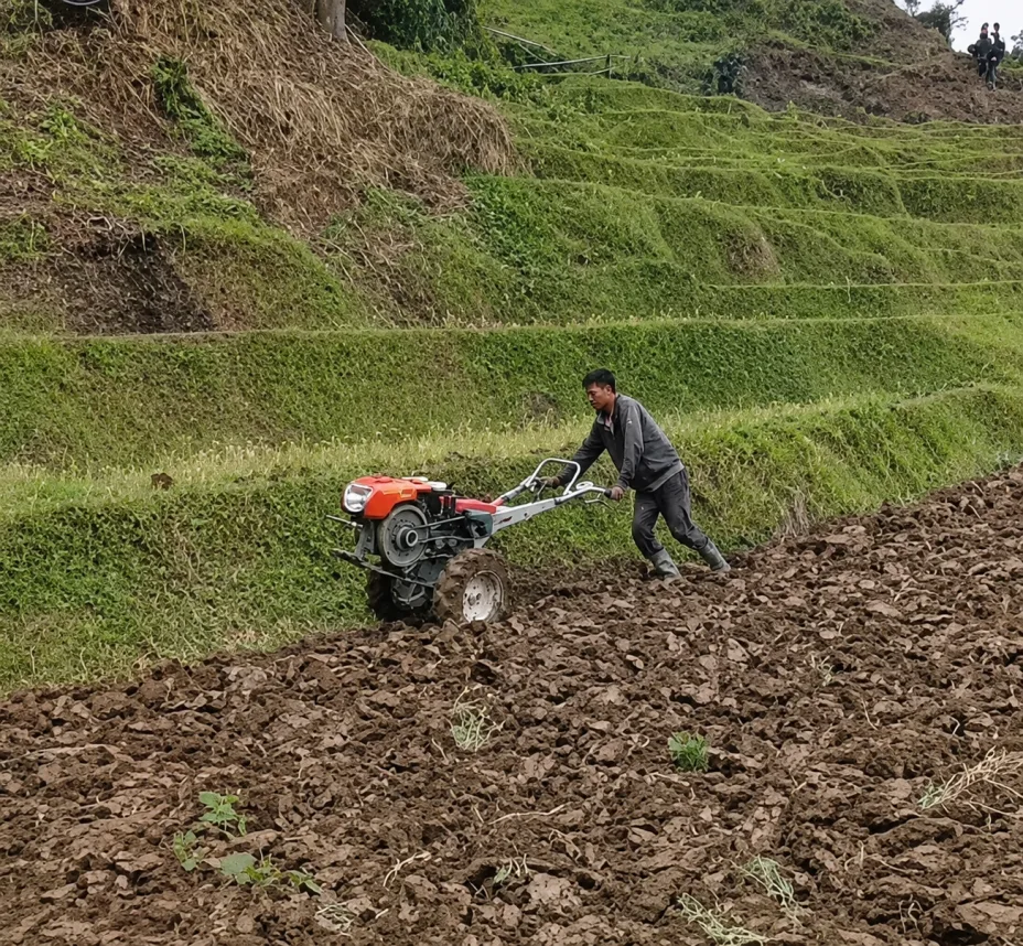 Customer-provided field photo of an operator guiding a red-engine walking tractor on cultivated terraced terrain